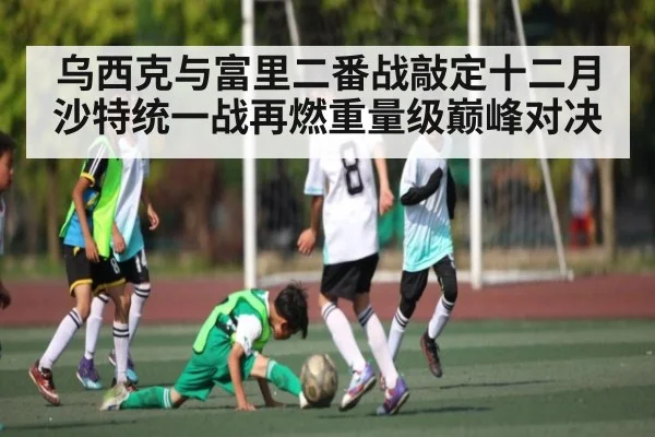 乌西克与富里二番战敲定十二月沙特统一战再燃重量级巅峰对决